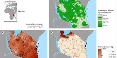 Kaart van tanzanië malaria 